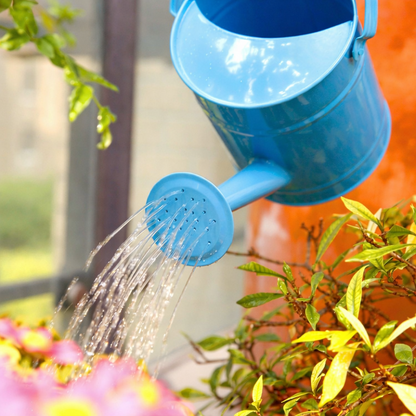 1.5L Metal Watering Can